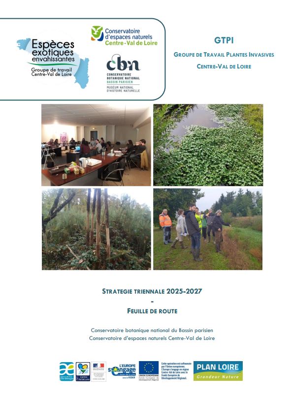 Stratégie triennale 2025-2027 du groupe de travail plantes invasives centre-val de loire GTEEE